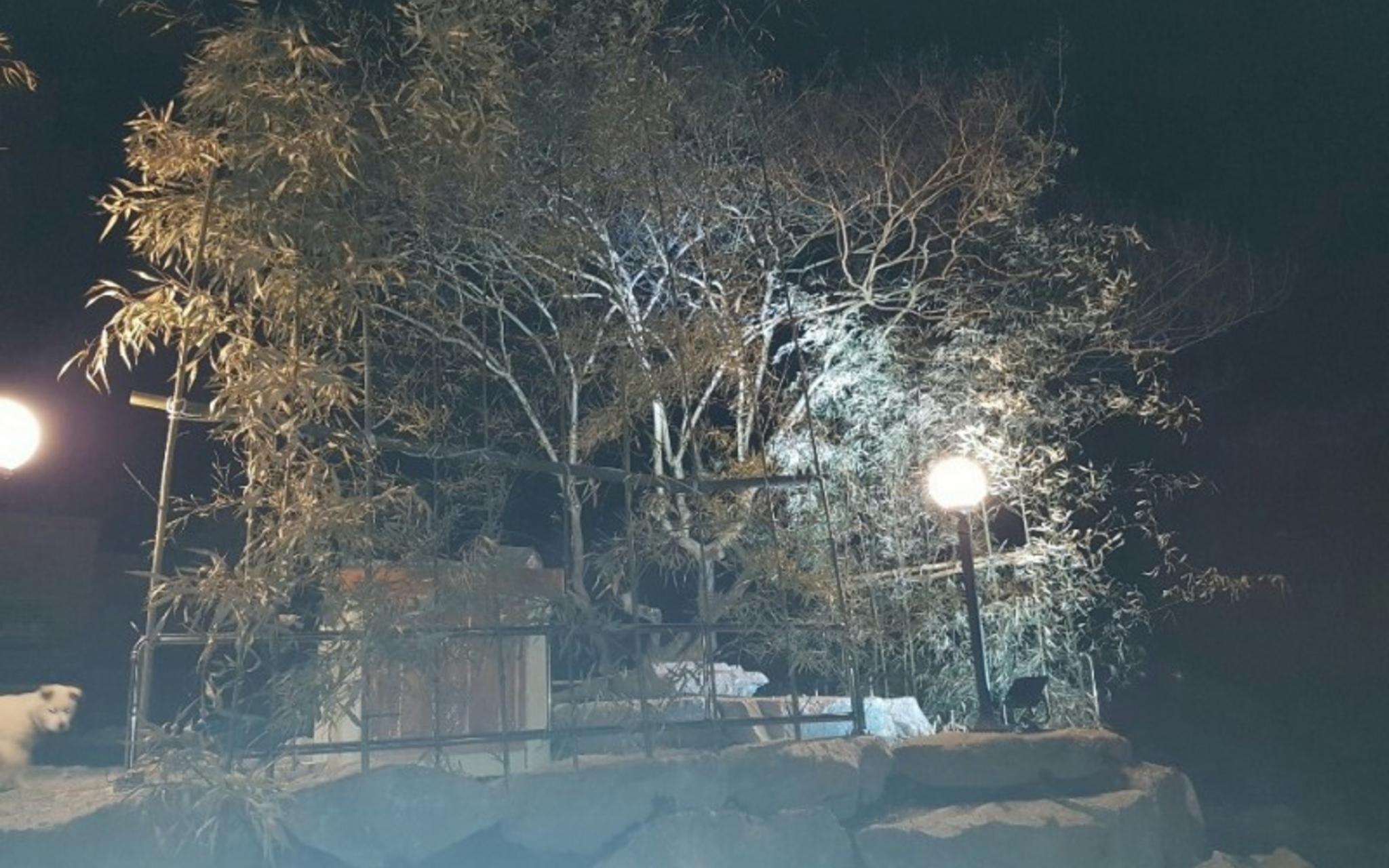 Jangseong Baegilhong Pension photo 4