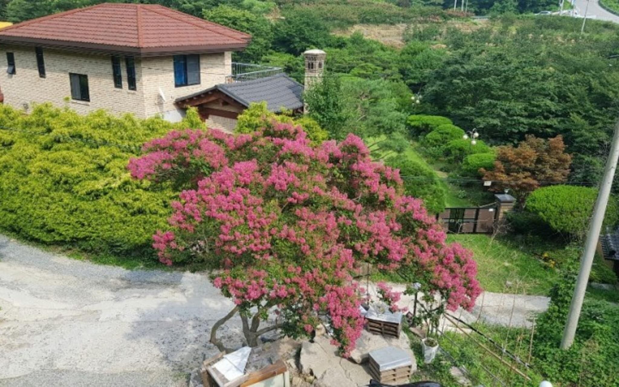 Jangseong Baegilhong Pension photo 3