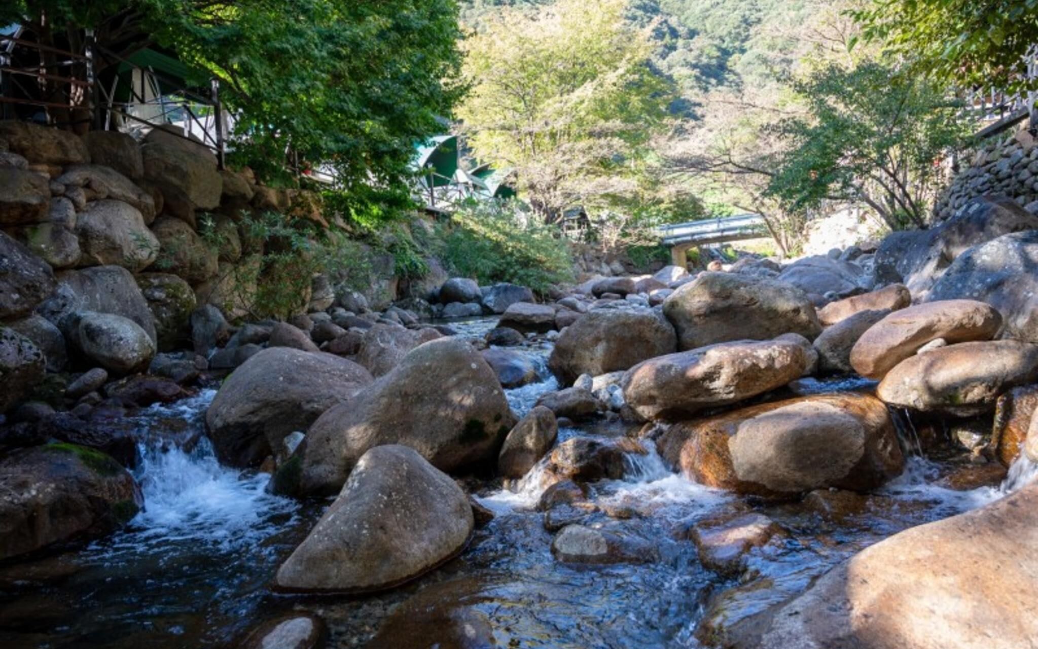 Hadong Dreams Pension photo 4