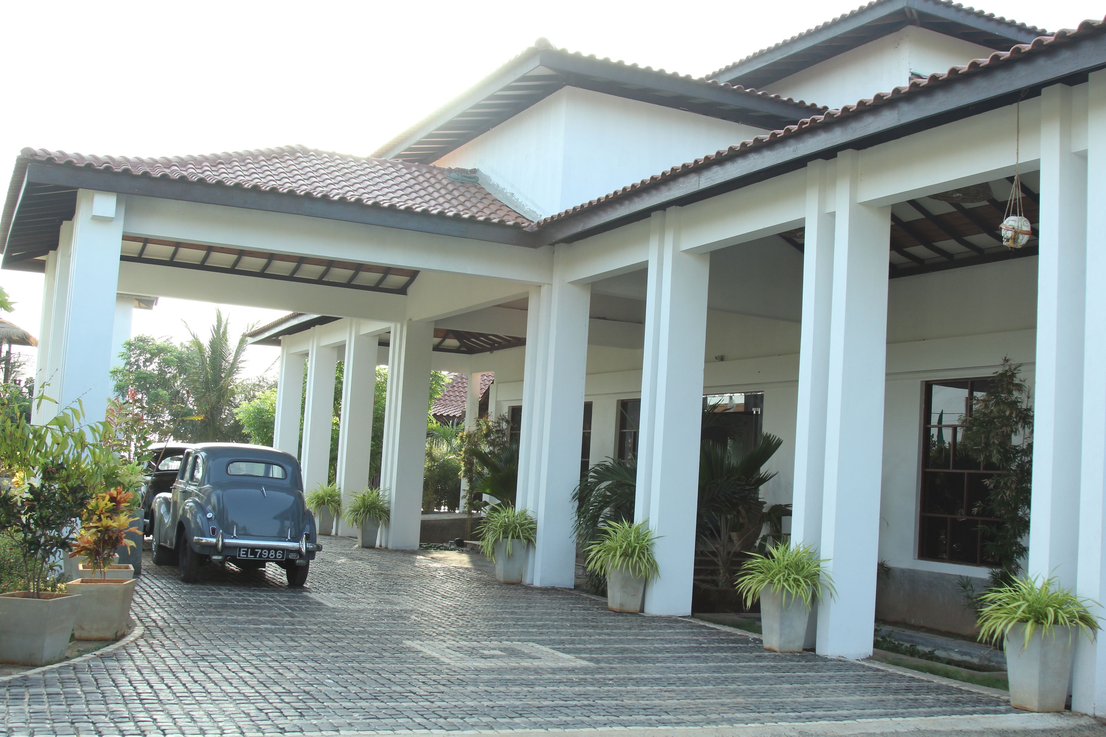 Ocean Park Resort photo 5