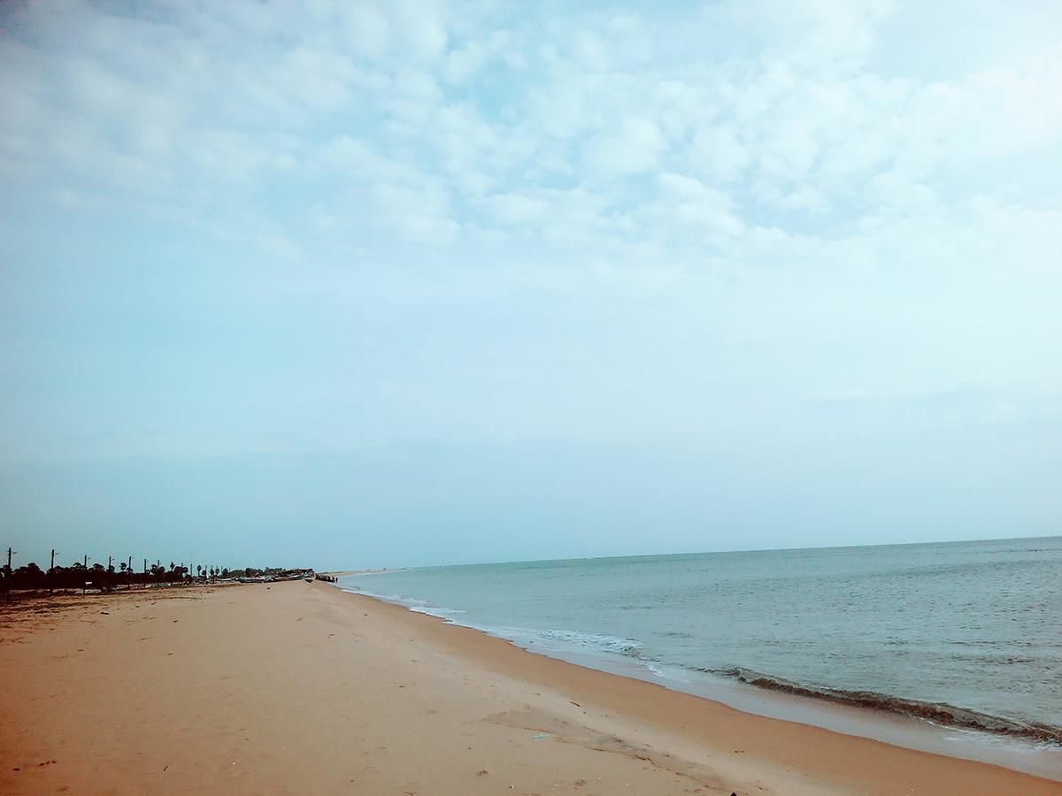 Ocean Park Resort photo 4
