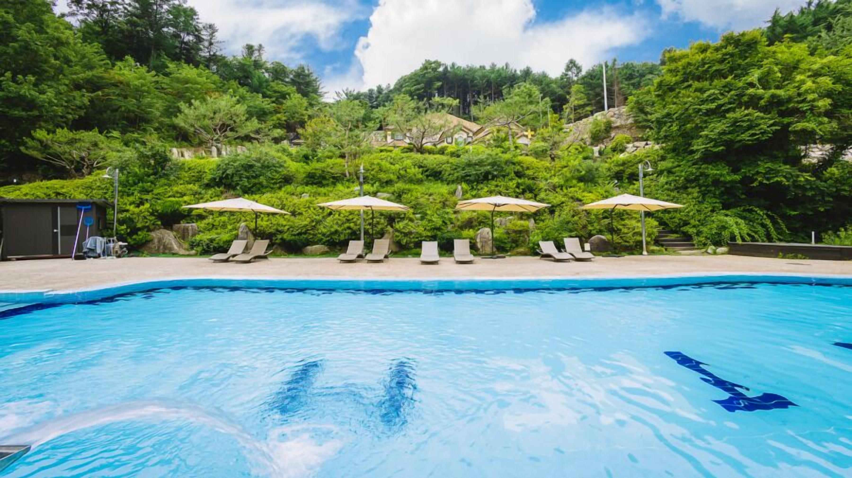 Gapyeong Atthemorn Dokchae Pension photo 4