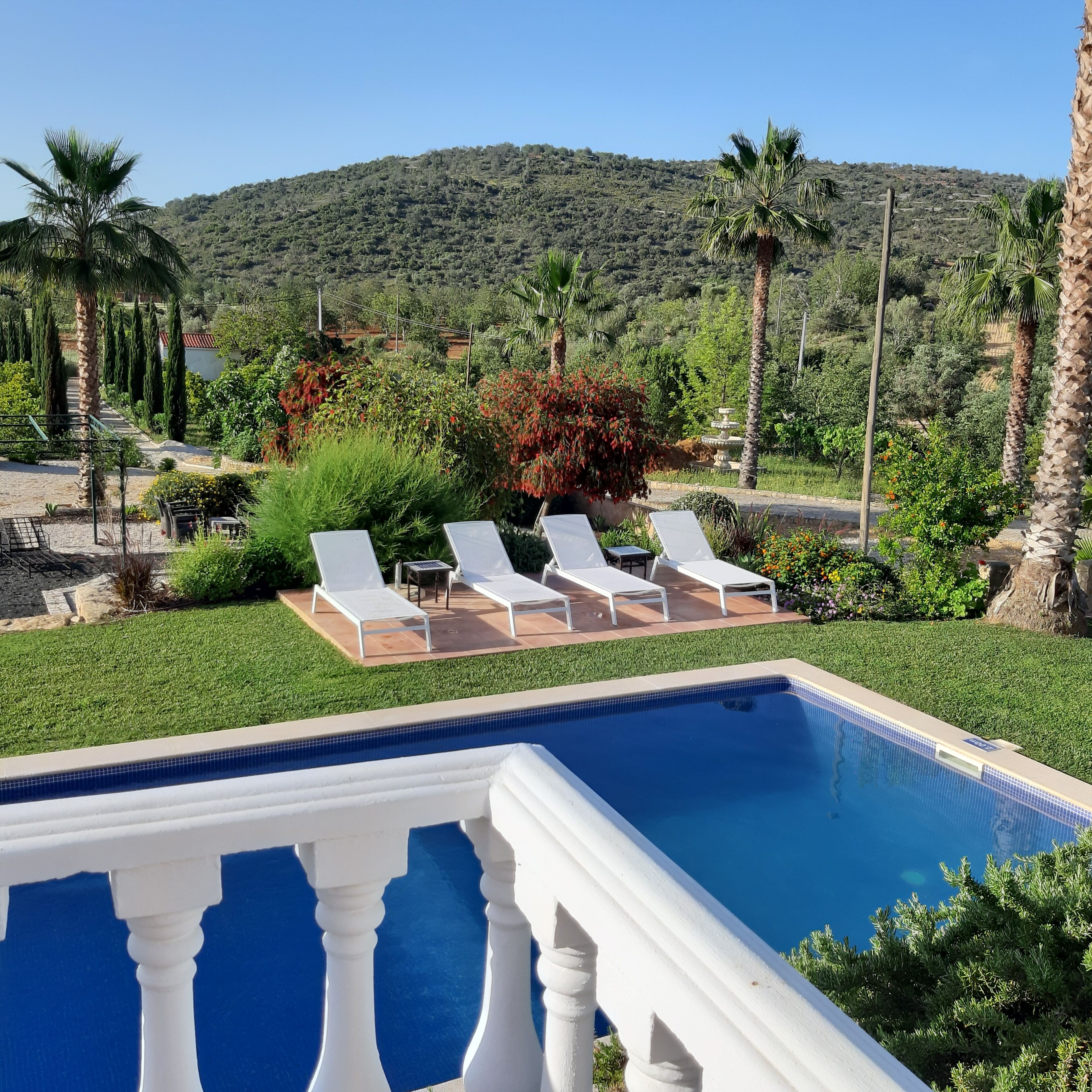 B&B Entrecolinas photo 2