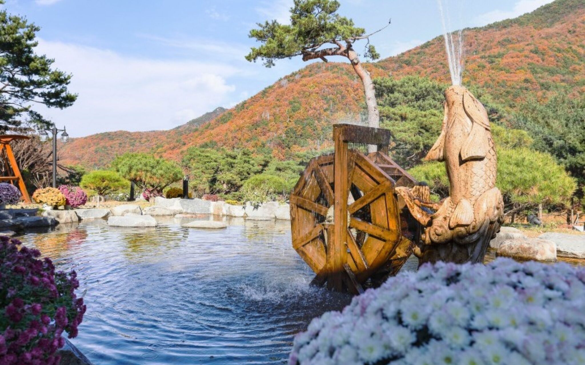 Gongju Solhyang Pension photo 4