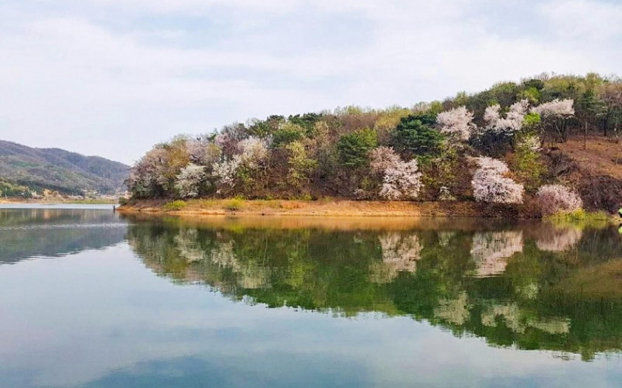Anseong Pension Ddeulanche photo 2