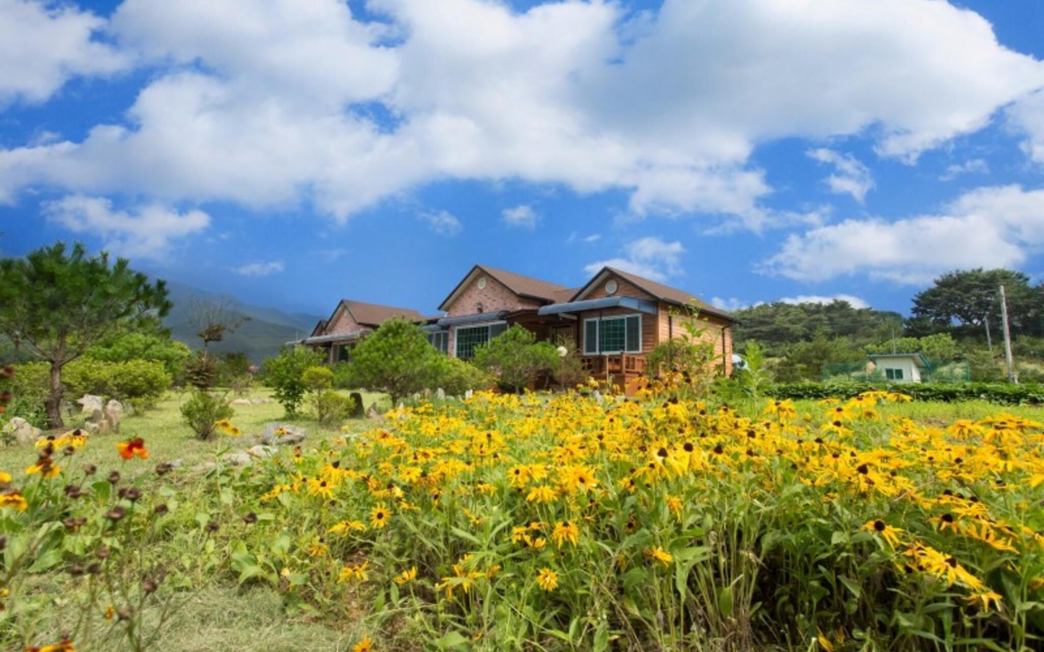 Goesan Banditbul Family Pension photo 4