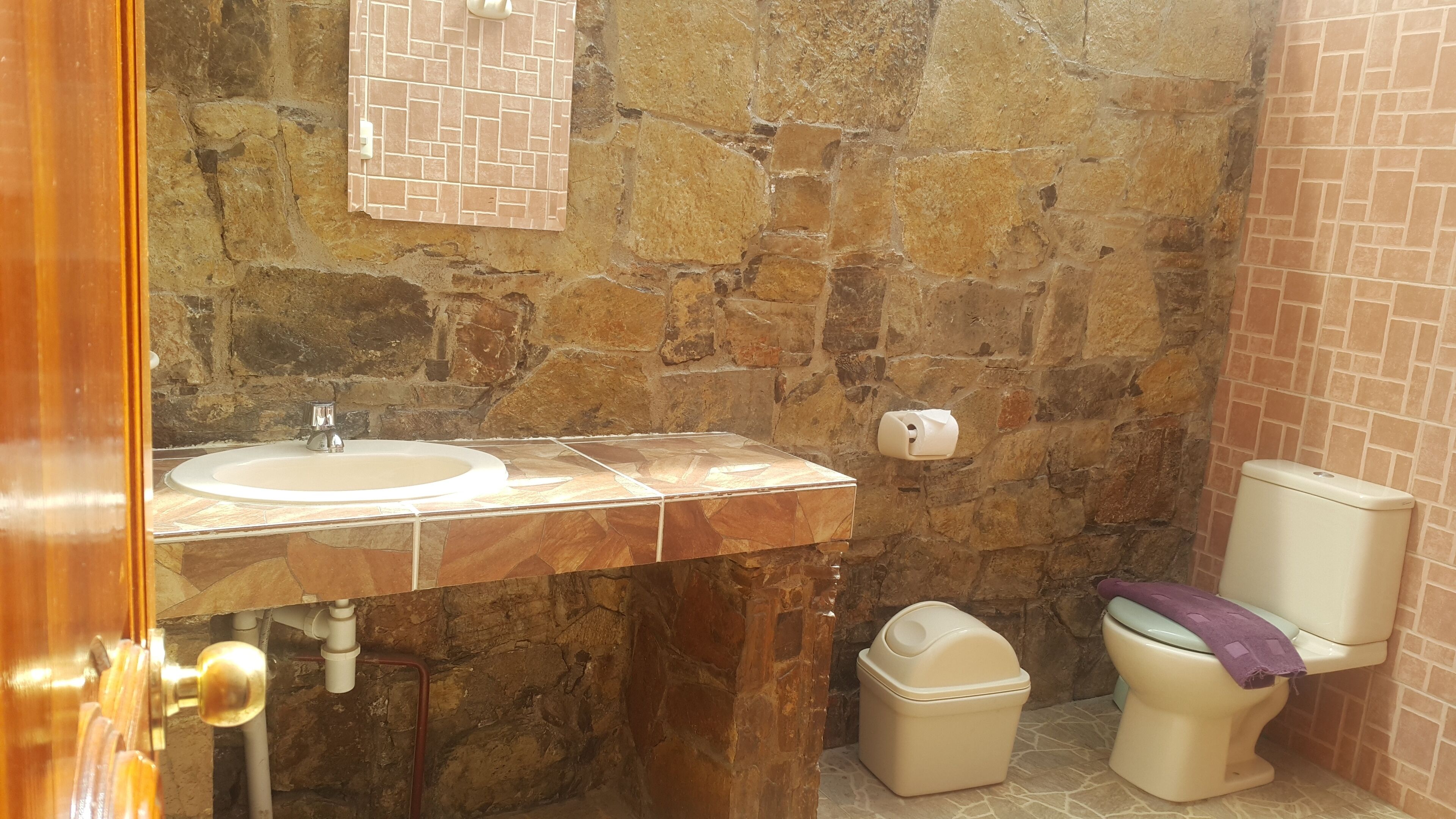 Palla Khasa Ecological Hotel photo 2