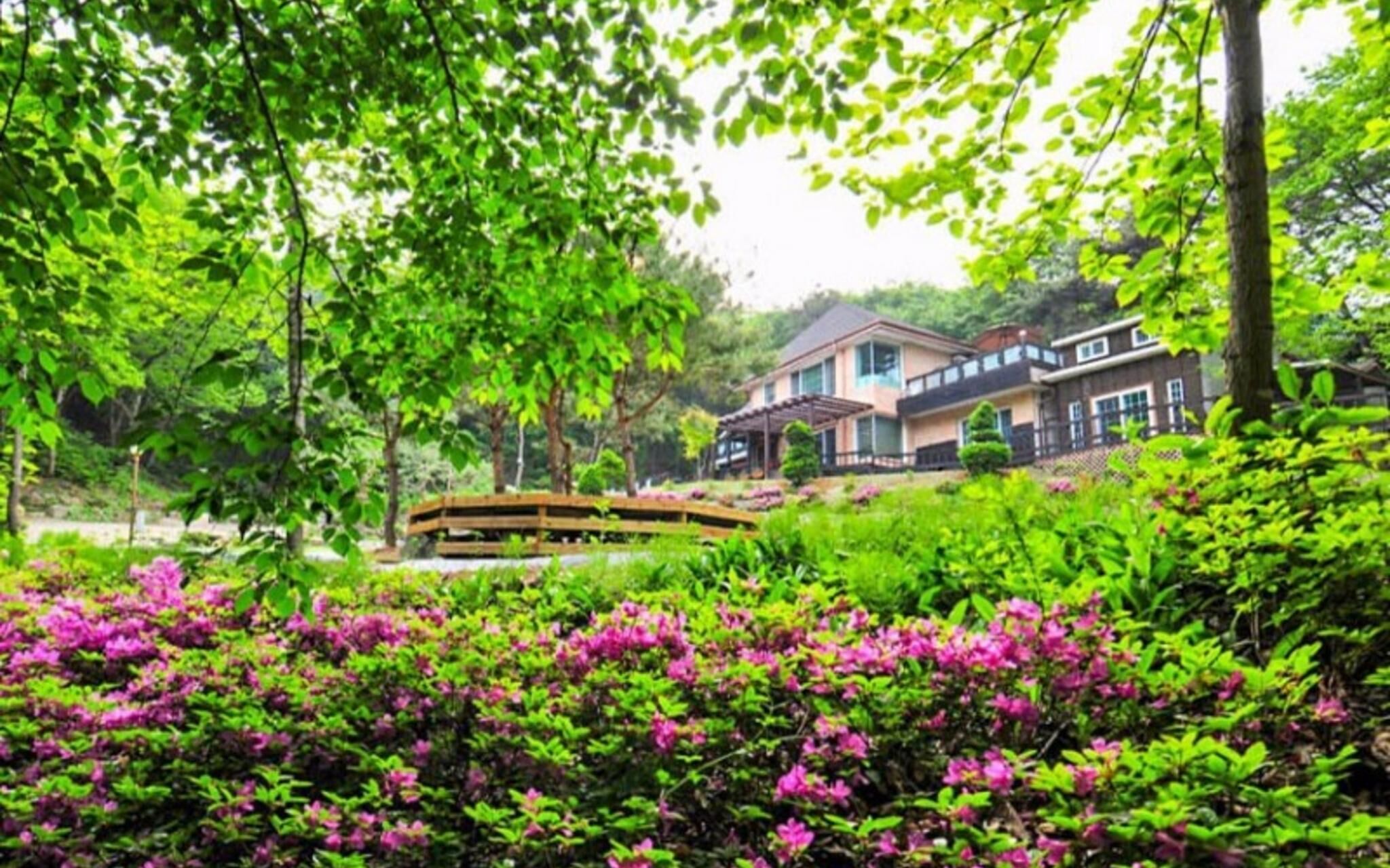 Yangpyeong Beatrice Pension photo 5