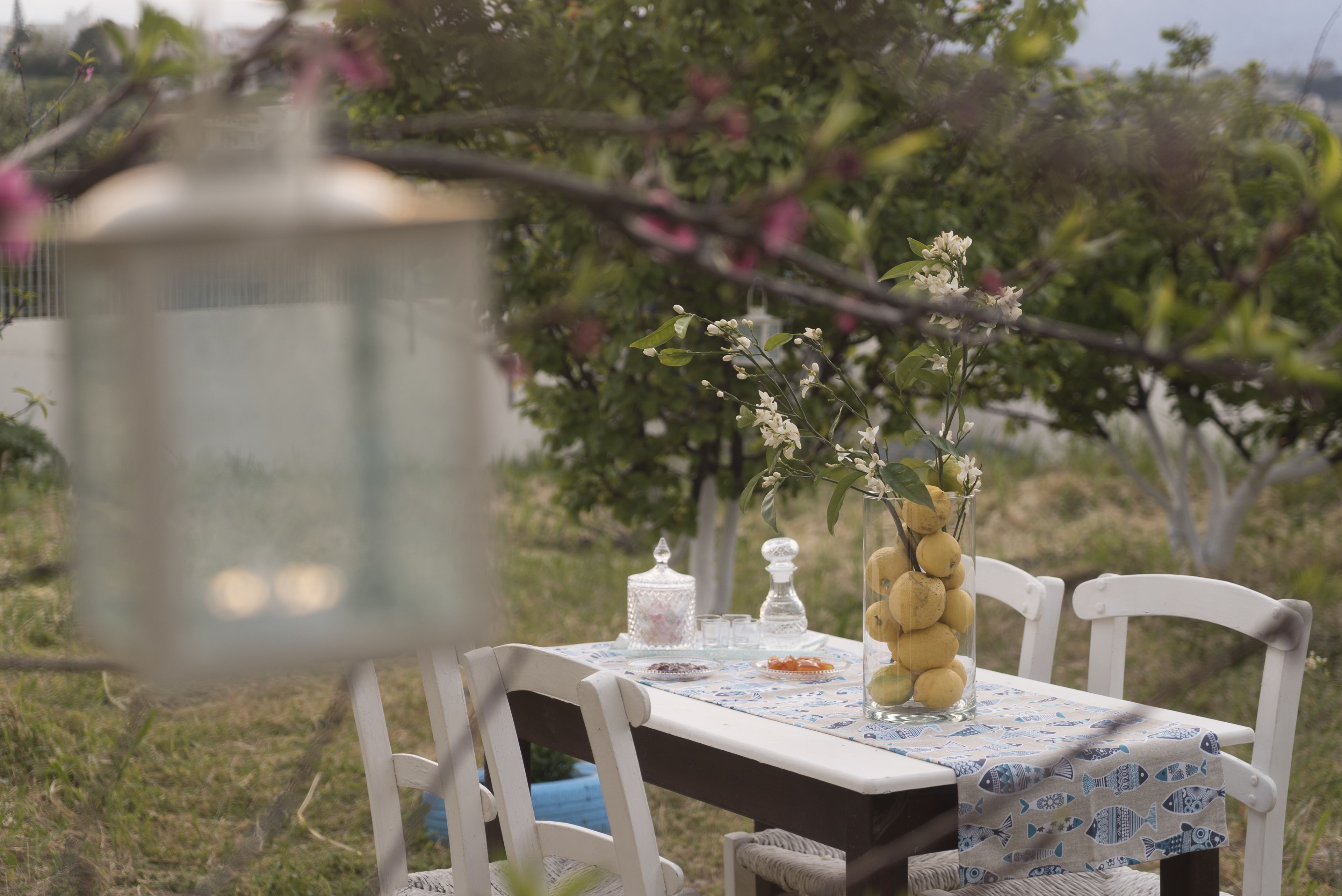 Sofia's Residence by Checkin photo 5