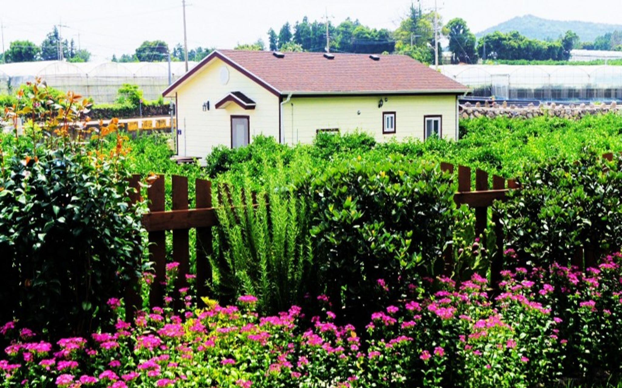Seoguipo Lucky Clover Pension photo 5