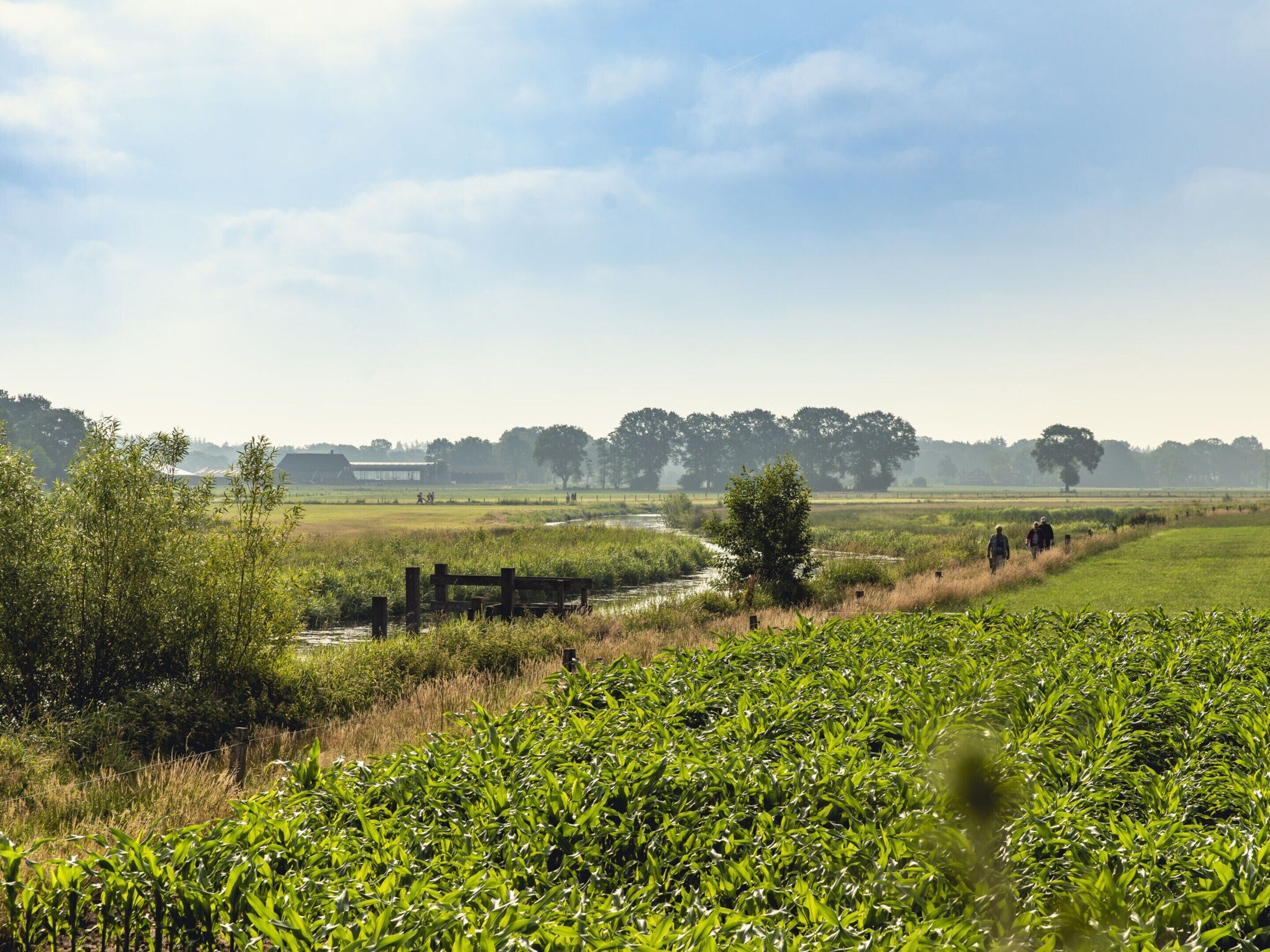 View from property 3, Safari Tent With Pool Access, Wierden