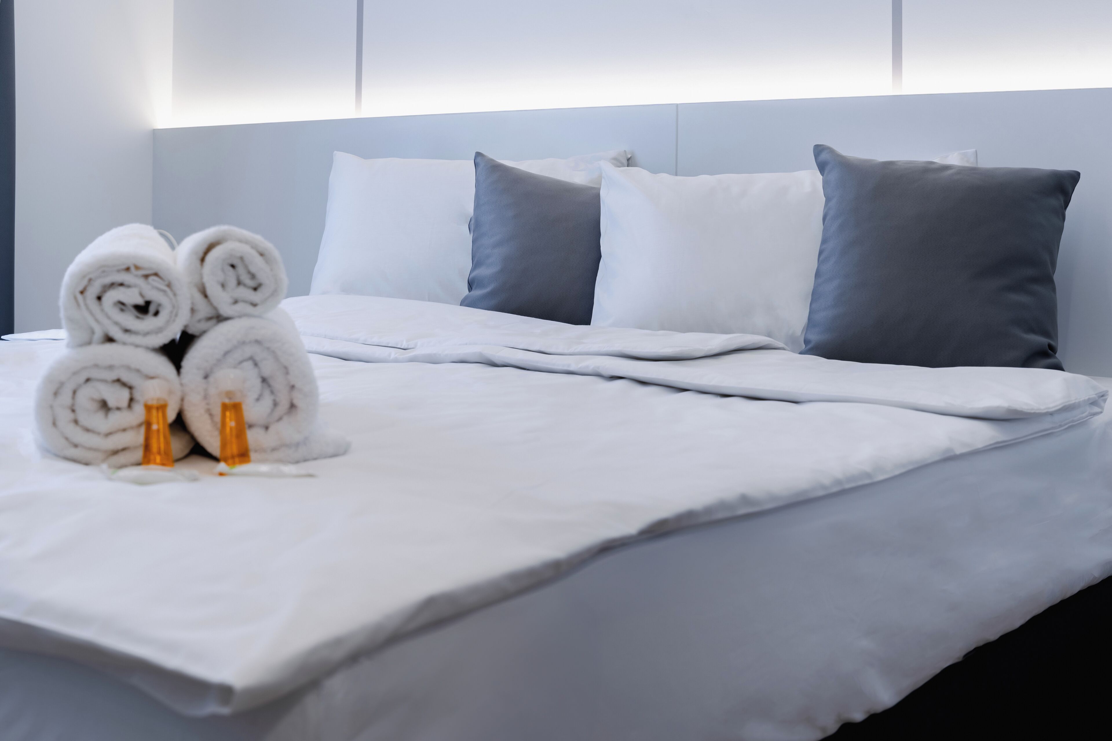 Standard Double Room 1 Queen Bed