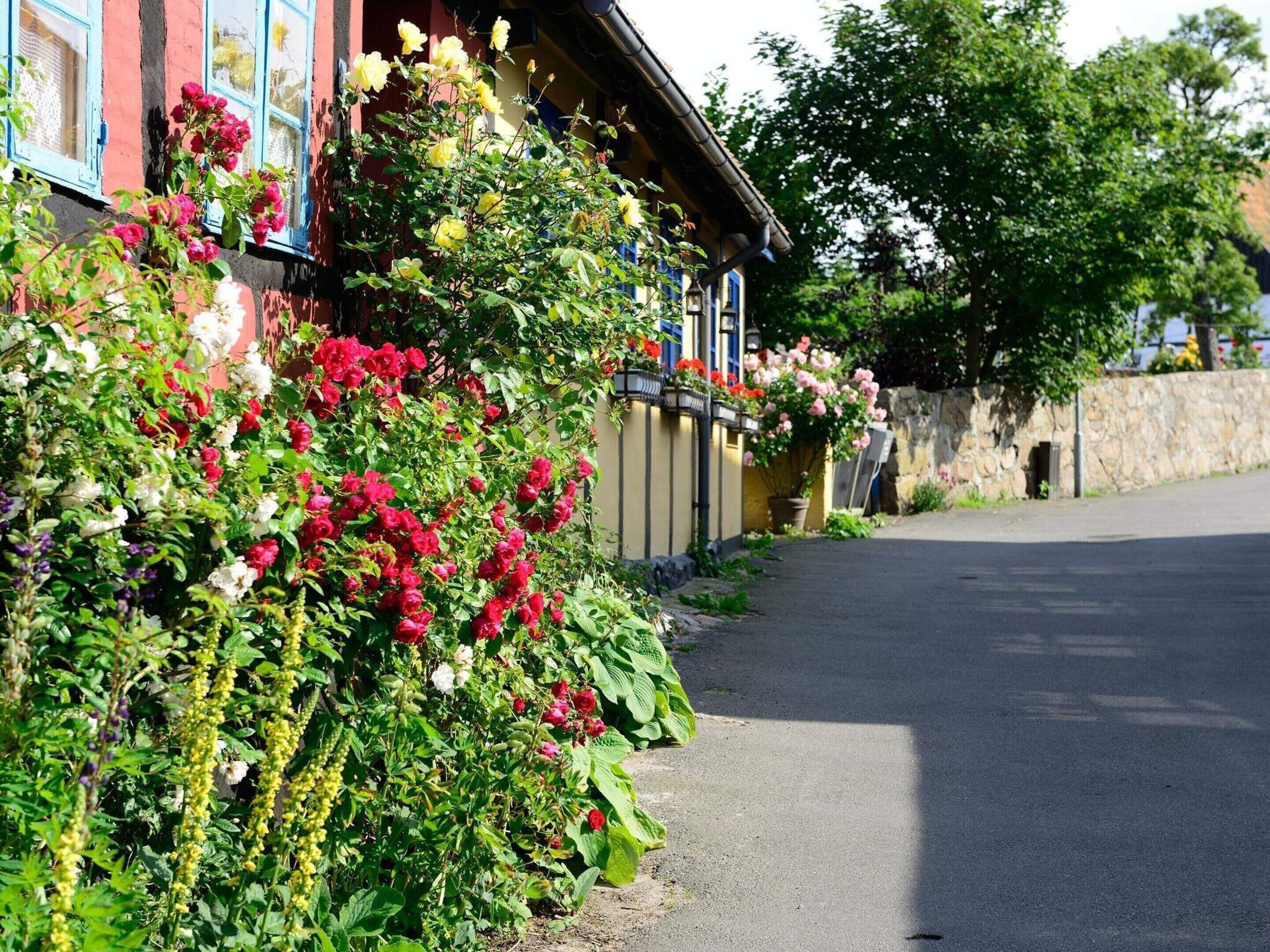 Exterior 5, 4 Person Holiday Park Home in Allinge, Bornholm