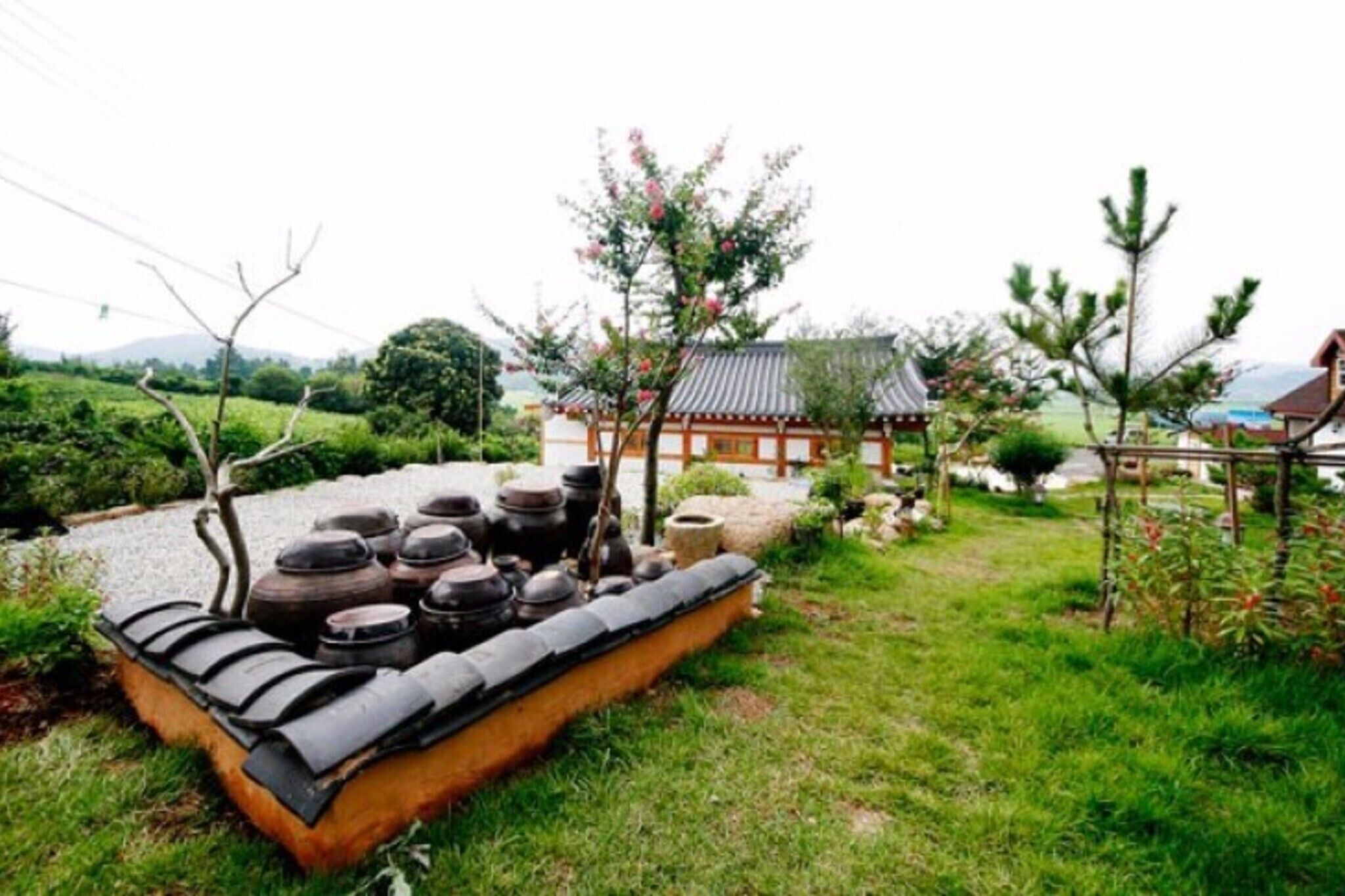 Suncheon Bay Yerang Pension photo 3