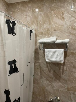Hotel Alexandria-Sheremetyevo photo 5