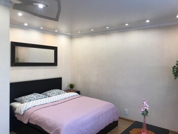 Apartment Hanaka Saratovskaya 5 photo 3