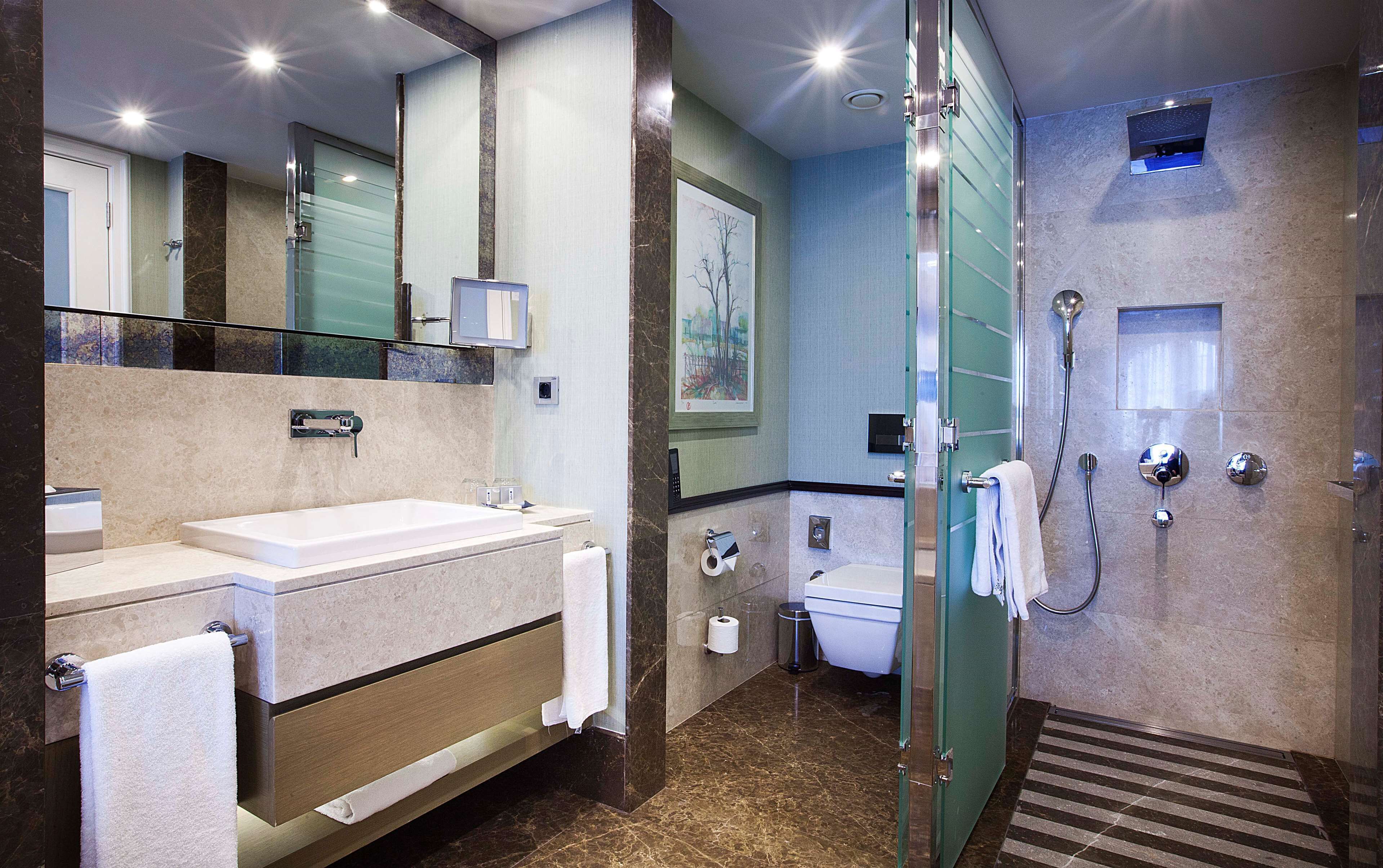Radisson Blu Hotel, Istanbul Sisli Room Type - Premium Room - City View
