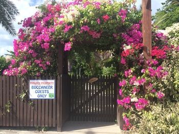 Hotel Entrance