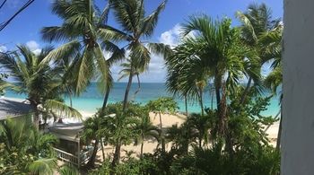 Beach or Ocean View