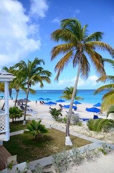Beach or Ocean View