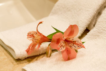 In-Room Amenity