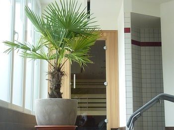 Steam Room