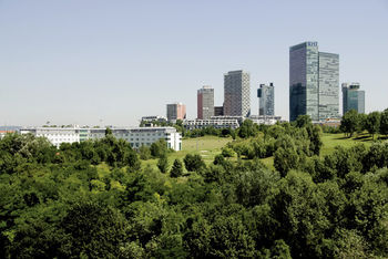 City View