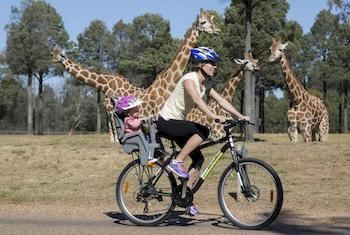 Zoofari Lodge Taronga Western Plains Zoo photo 3