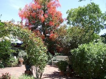83 on Swan B & B photo 4