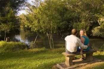 Bingle Tree Retreat photo 3