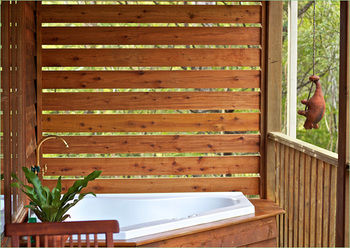 Bingle Tree Retreat photo 4