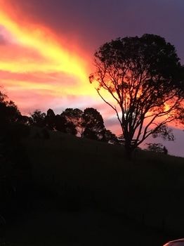 Mango Tree Cottage photo 3