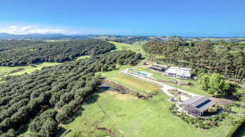 The Grove photo 2