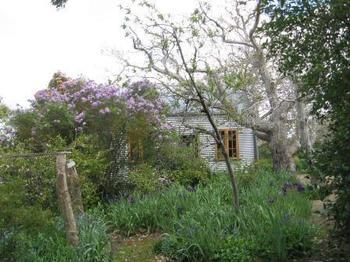 Corinella Country House photo 3