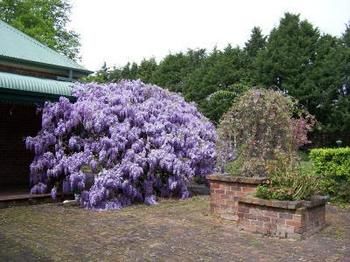 Heronswood House B & B photo 2