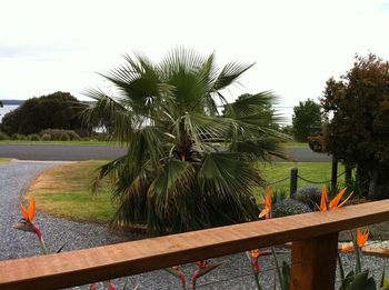 Corinella Bed & Breakfast photo 3
