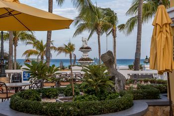 Beach or Ocean View