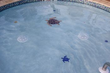 Childrens Pool