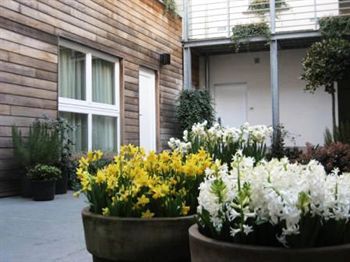 Terrace or Patio