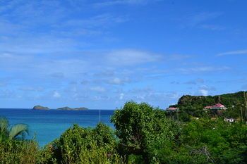 Beach or Ocean View