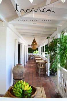 Terrace or Patio