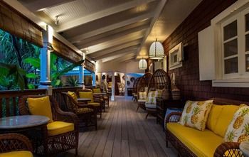Terrace or Patio