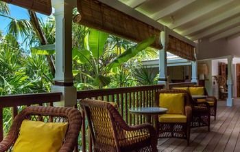 Terrace or Patio