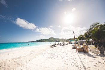 Beach or Ocean View
