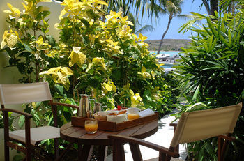 Terrace or Patio