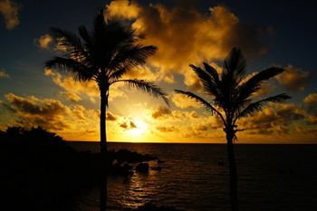 Beach or Ocean View