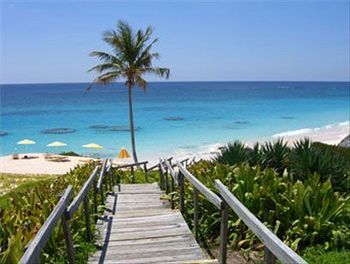 Beach or Ocean View
