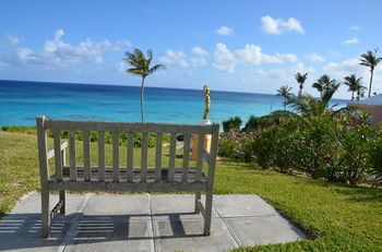 Beach or Ocean View