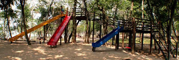 Colpa Caranda Eco Resort photo 4