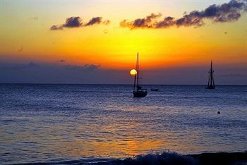 Beach or Ocean View